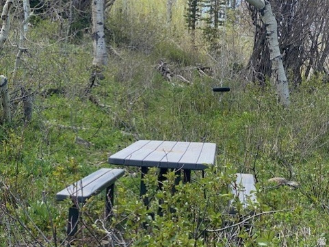 PINE MEADOWS - Land
