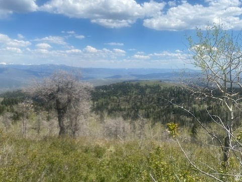 PINE MEADOWS - Land