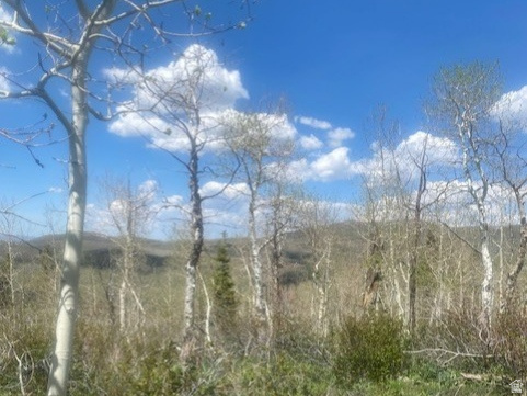 PINE MEADOWS - Land