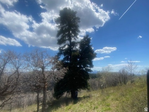 PINE MEADOWS - Land