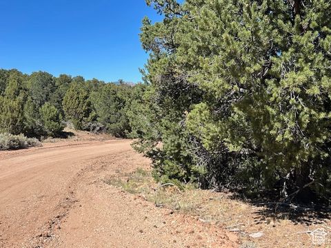 Tiny photo for Tabiona, UT 84072 (MLS # 2116491)