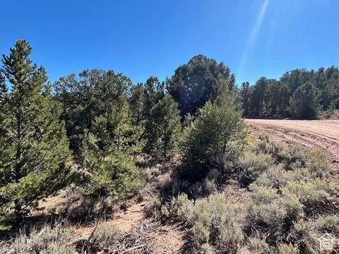 Tiny photo for Tabiona, UT 84072 (MLS # 2116491)