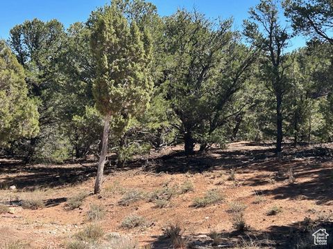 Tiny photo for Tabiona, UT 84072 (MLS # 2116491)