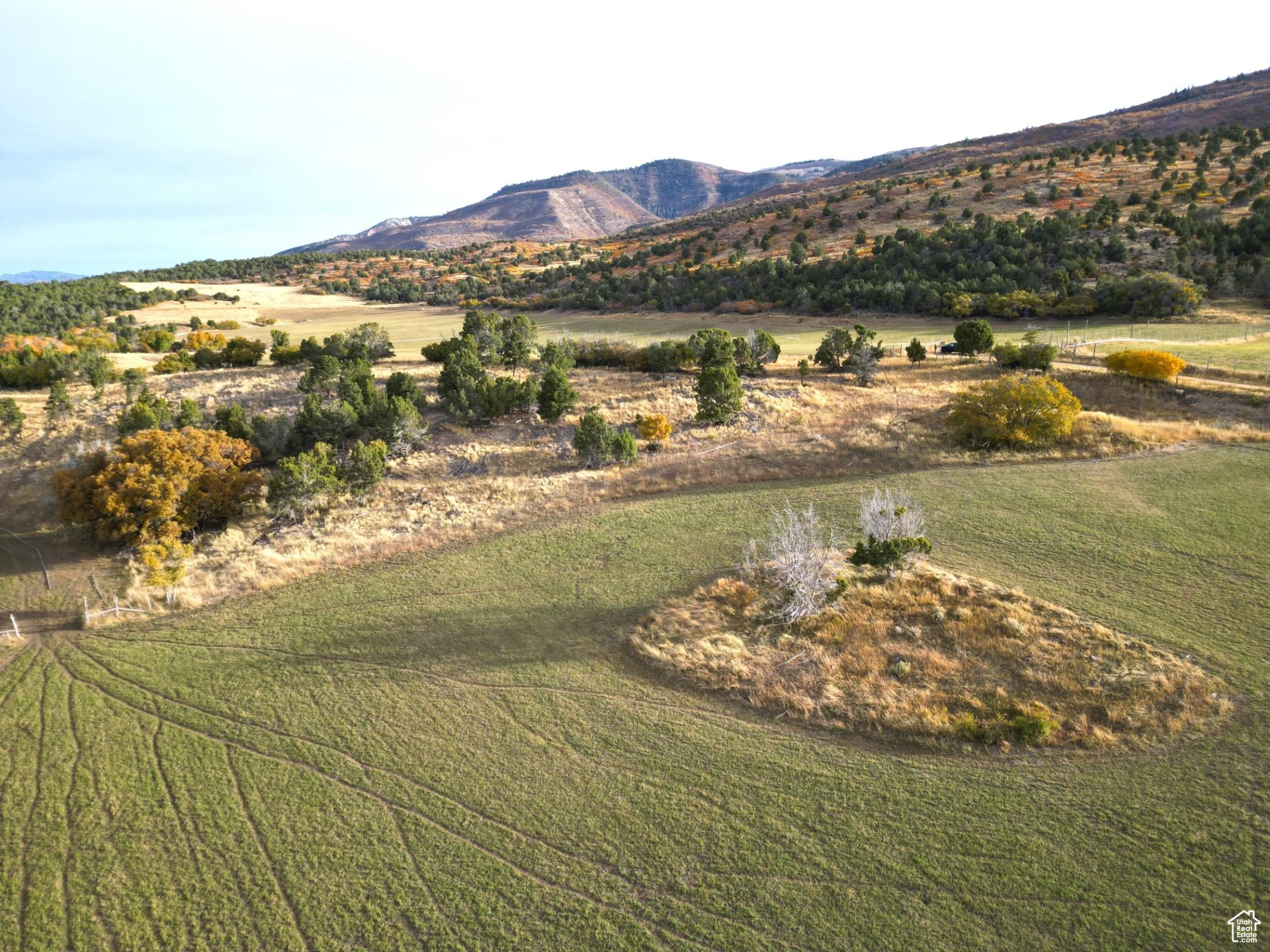 900 N Clements Ln, Fairview, Utah image 10