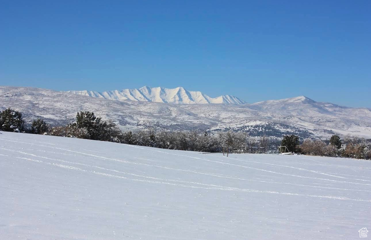 900 N Clements Ln, Fairview, Utah image 12
