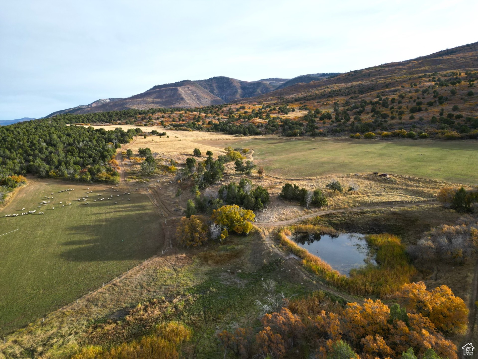 900 N Clements Ln, Fairview, Utah image 2