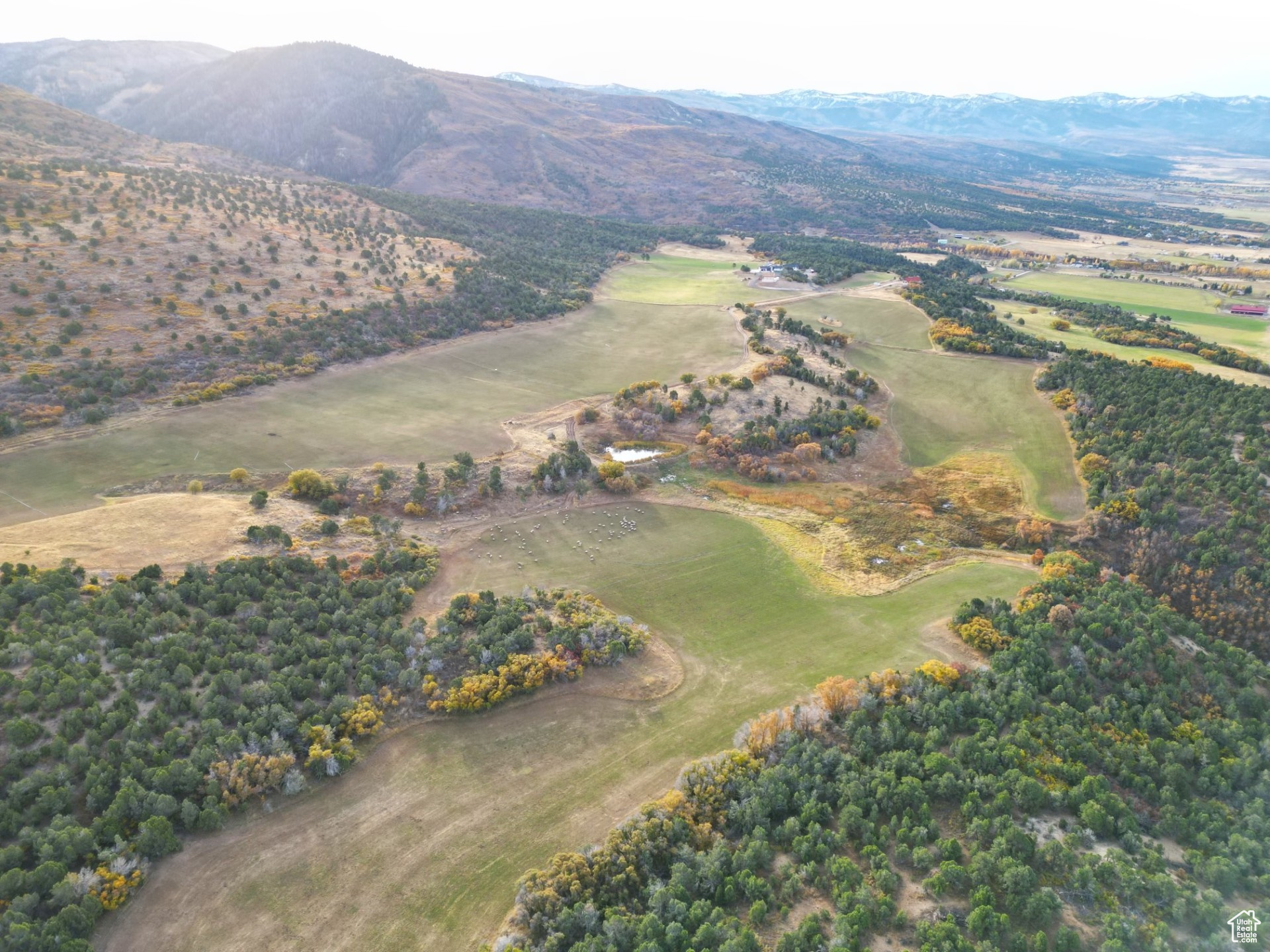 900 N Clements Ln, Fairview, Utah image 11