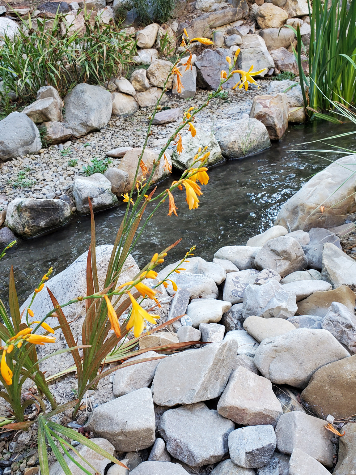 RENAISSANCE AT TRIMBLE CREEK PUD AMD - Residential