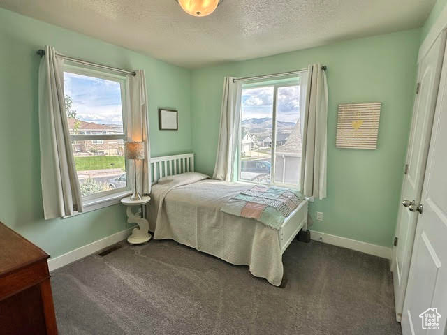 9931 N Outlook Way, Eagle Mountain, Utah image 16