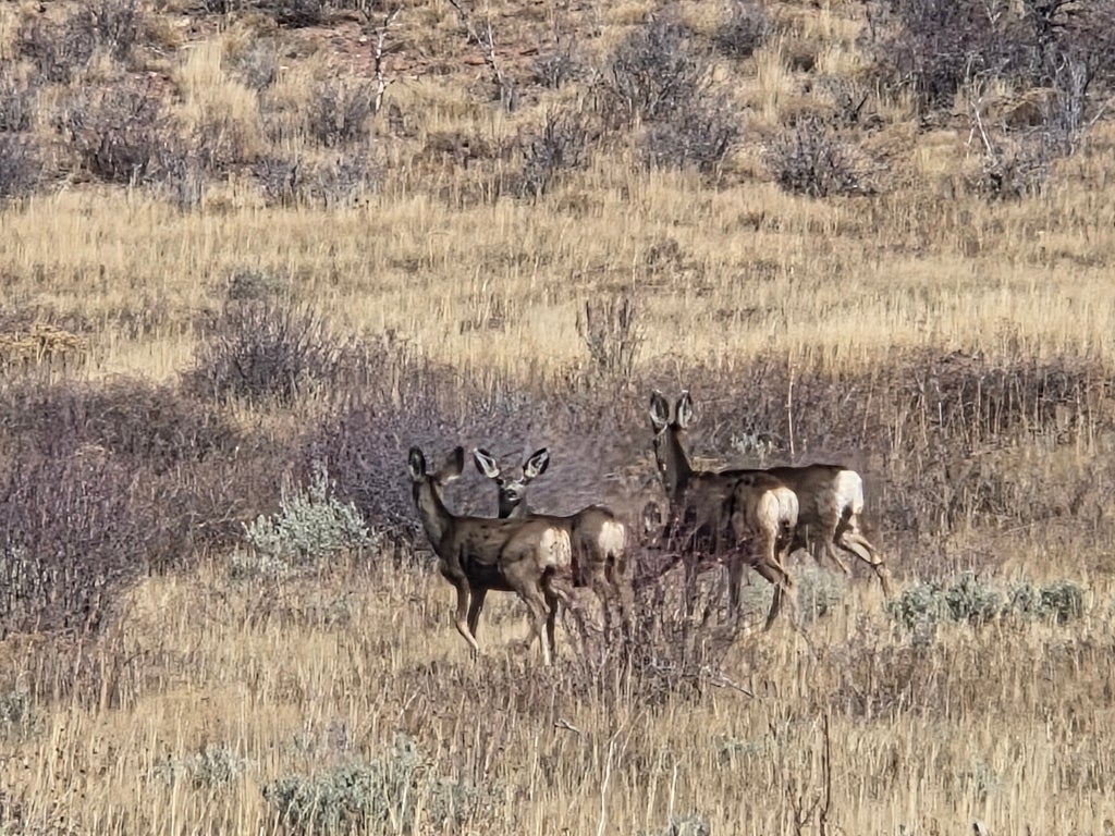 Photo of #135, Fruitland, UT 84027 (MLS # 2181028)