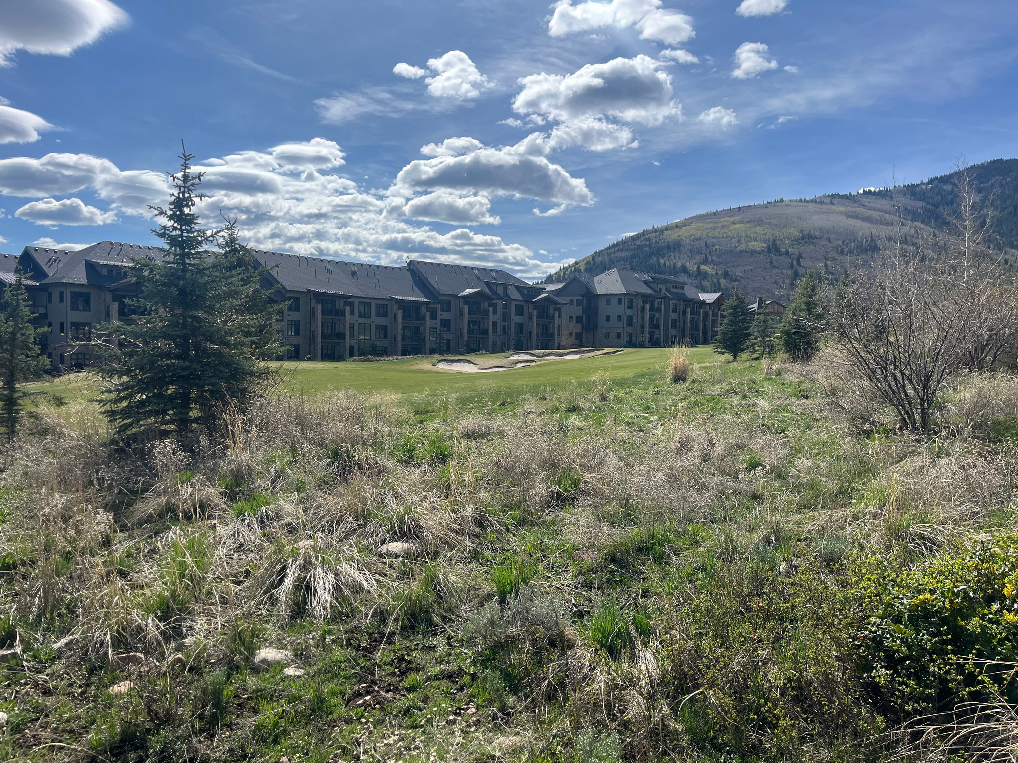 RED PINE CHALETS CONDO - Residential