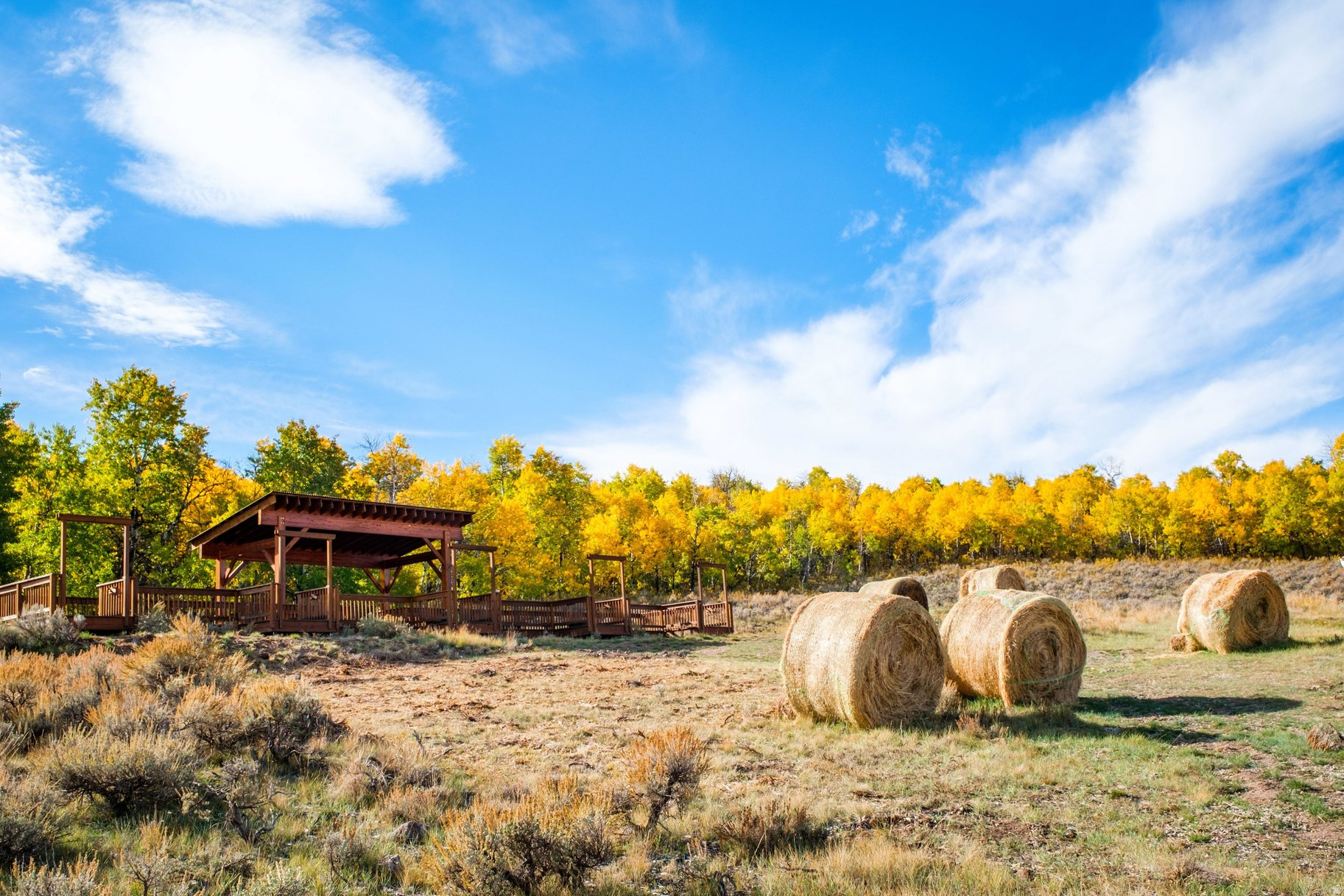 VICTORY RANCH - Residential