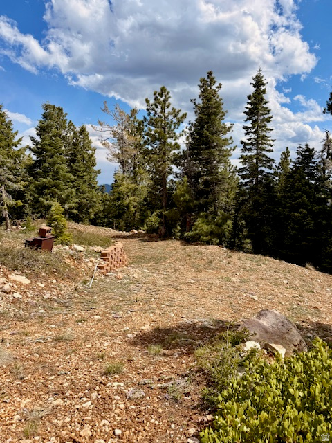 NAVAJO LAKE ESTATES - Land