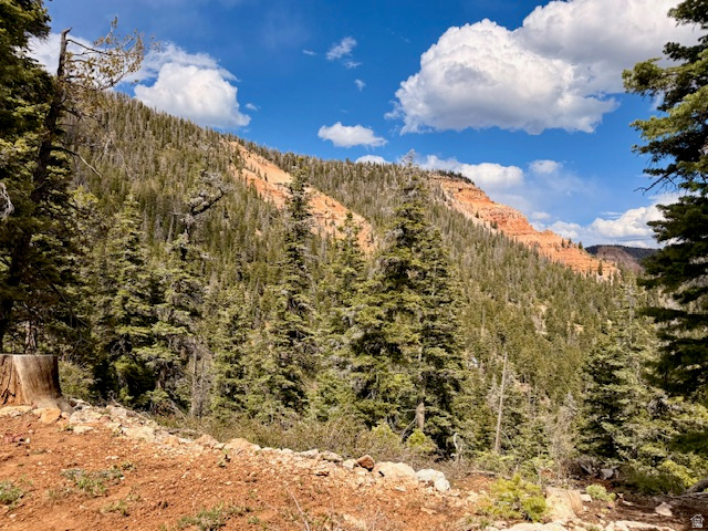 NAVAJO LAKE ESTATES - Land