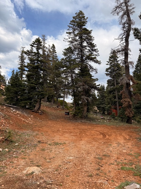 NAVAJO LAKE ESTATES - Land