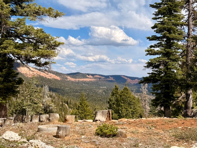 NAVAJO LAKE ESTATES - Land