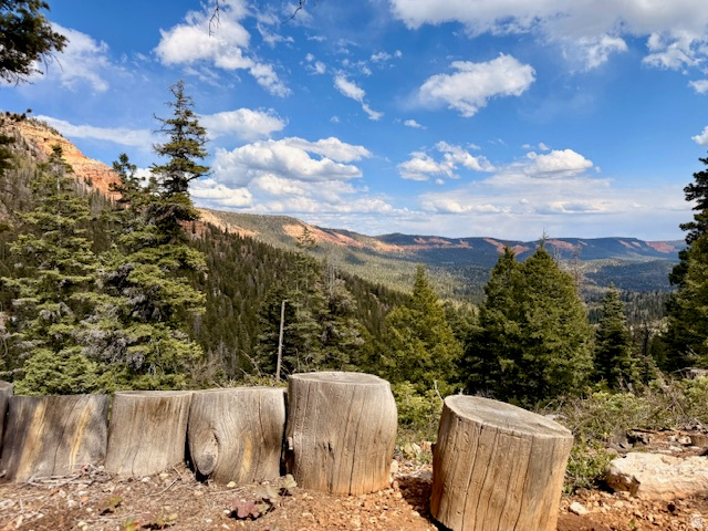 NAVAJO LAKE ESTATES - Land
