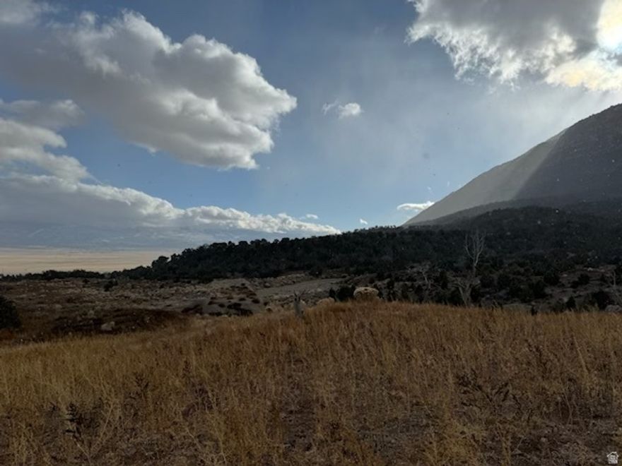 And a river runs through it-- 160 acres of agricultural land near Pete's Canyon and Big Mountain in Sanpete County with Peach Canyon Creek running through.
