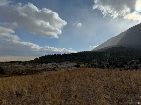 Vacant Land For Sale - Land<br/> Sanpete County, Wales, UT 84667