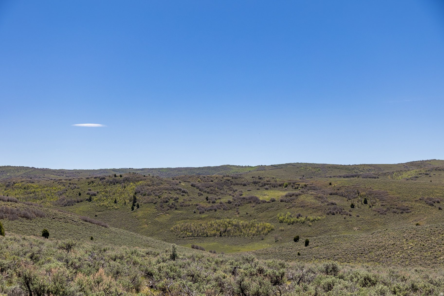 VICTORY RANCH - Land