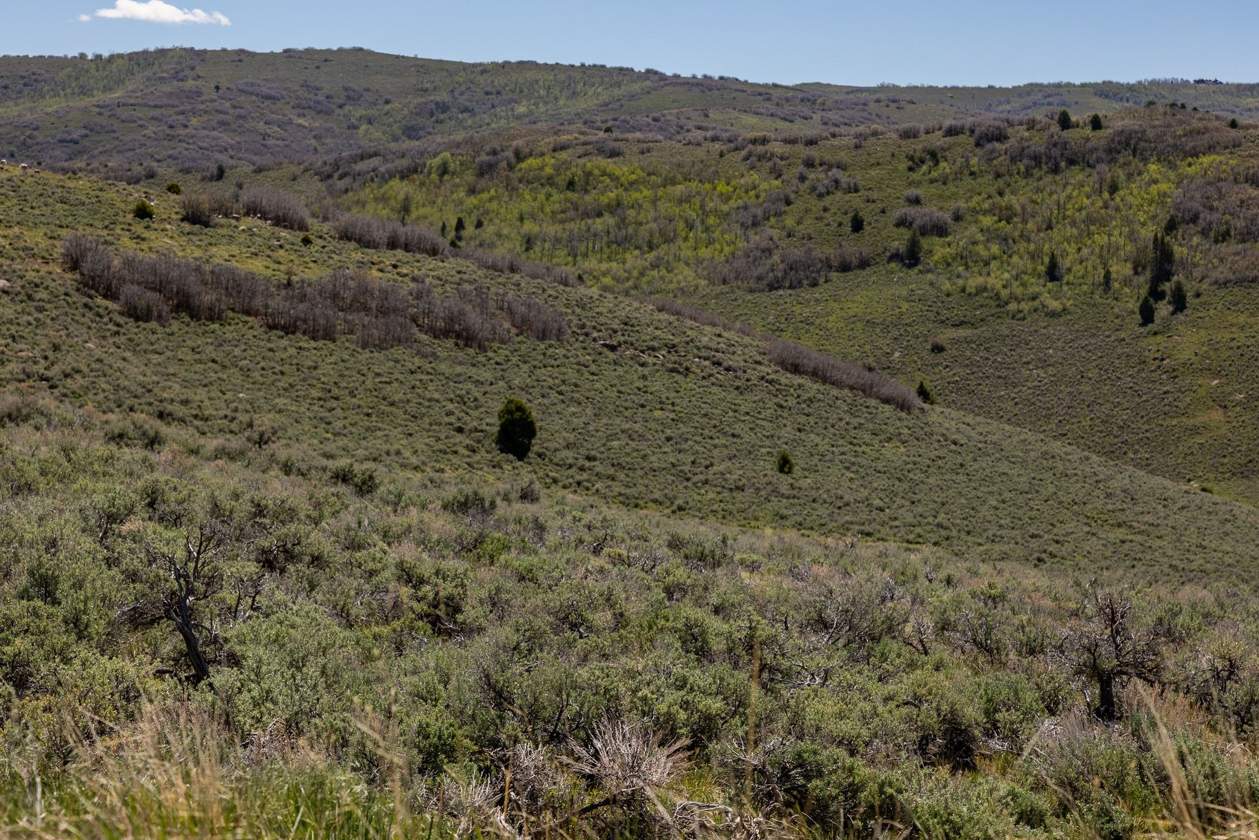 VICTORY RANCH - Land