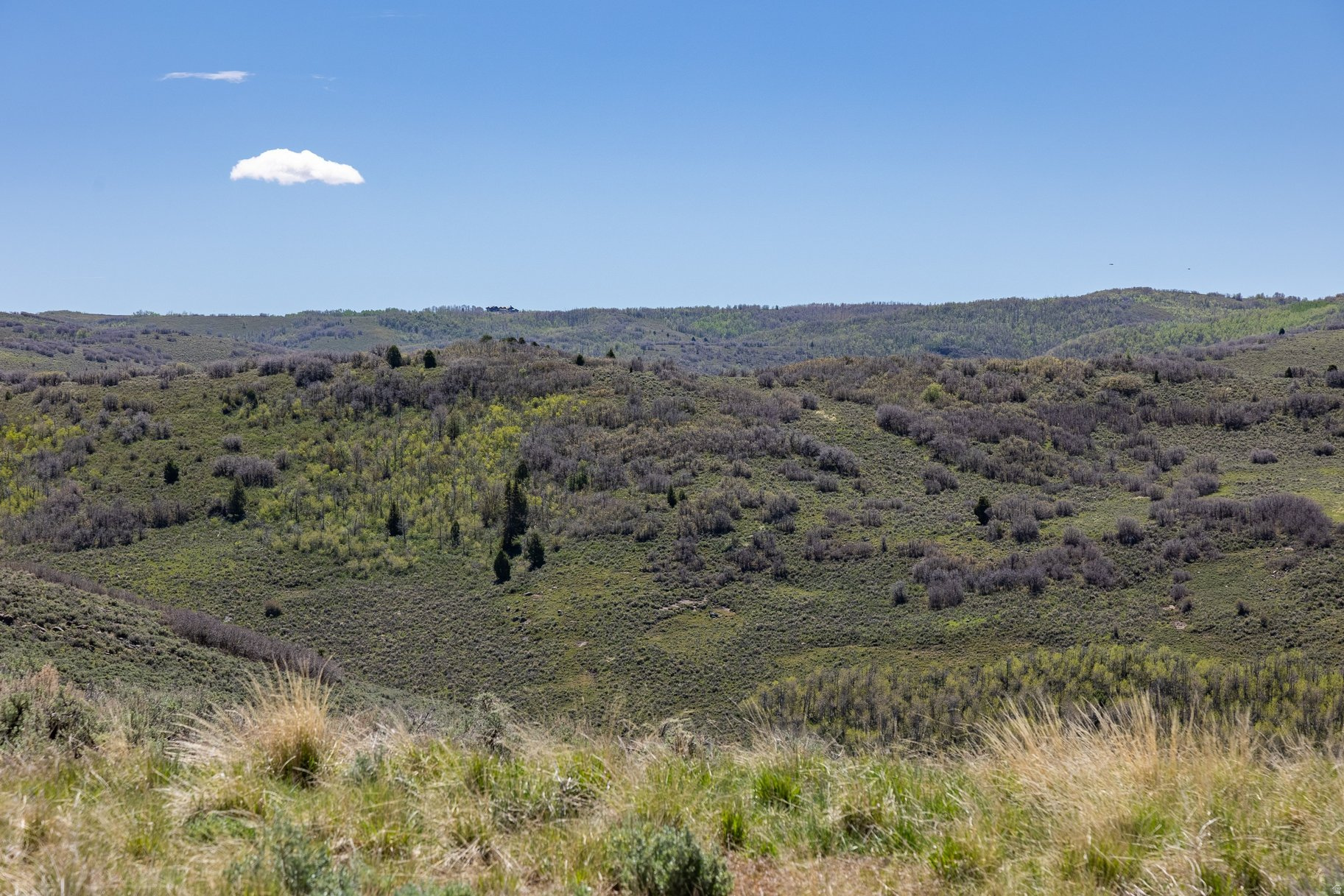 VICTORY RANCH - Land