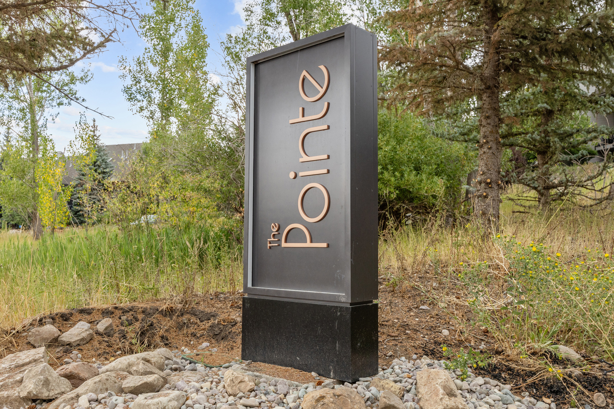 THE POINTE AT WOLF CREEK - Residential