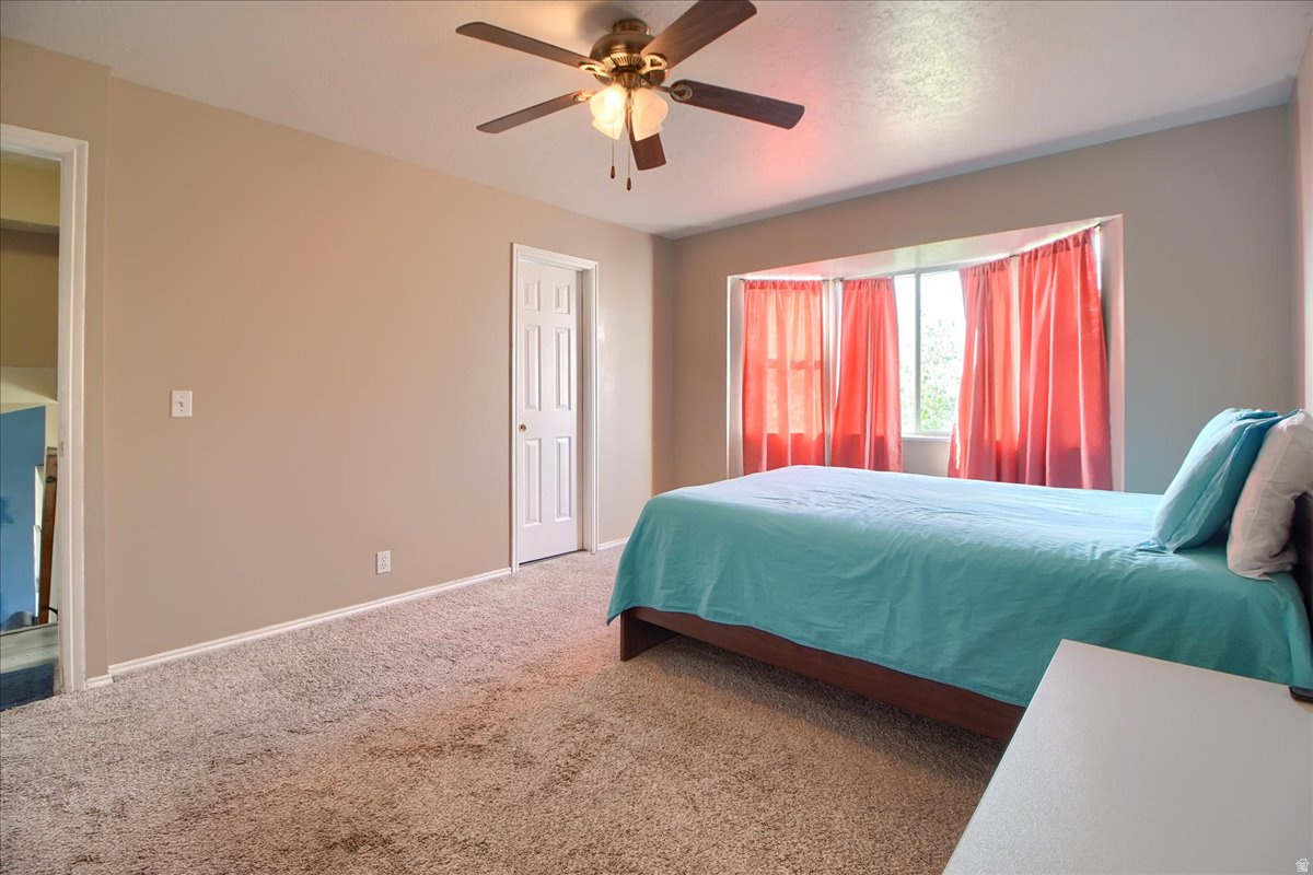 WALNUT RIDGE - Residential