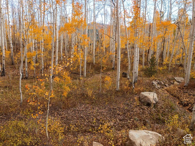 BRIGHTON ESTATES - Land