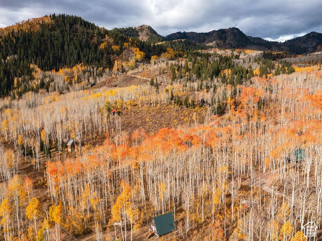 BRIGHTON ESTATES - Land