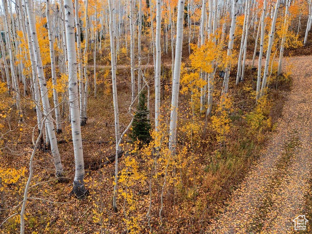 BRIGHTON ESTATES - Land