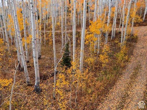Vacant Land For Sale - 5156 N Pebble Dr #75<br/> Midway, UT 84049