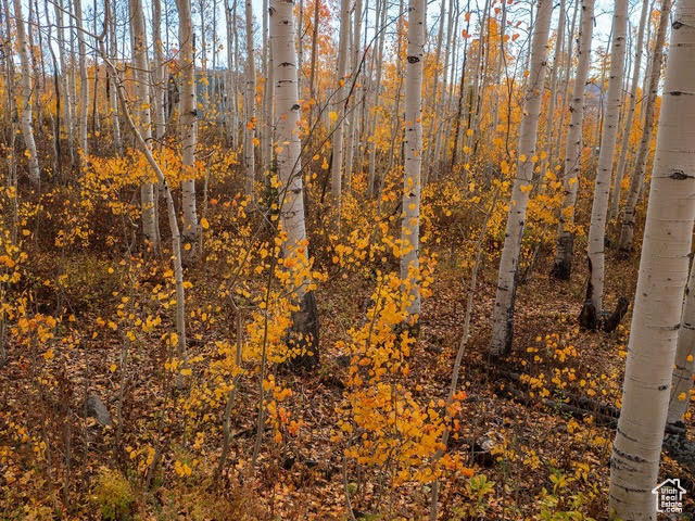 BRIGHTON ESTATES - Land