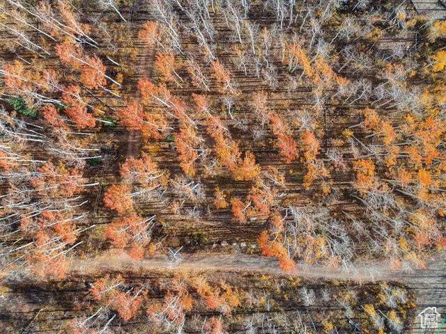 BRIGHTON ESTATES - Land