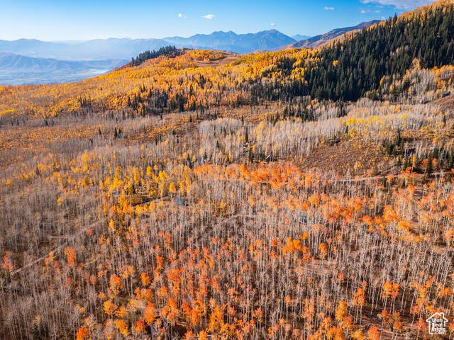 BRIGHTON ESTATES - Land