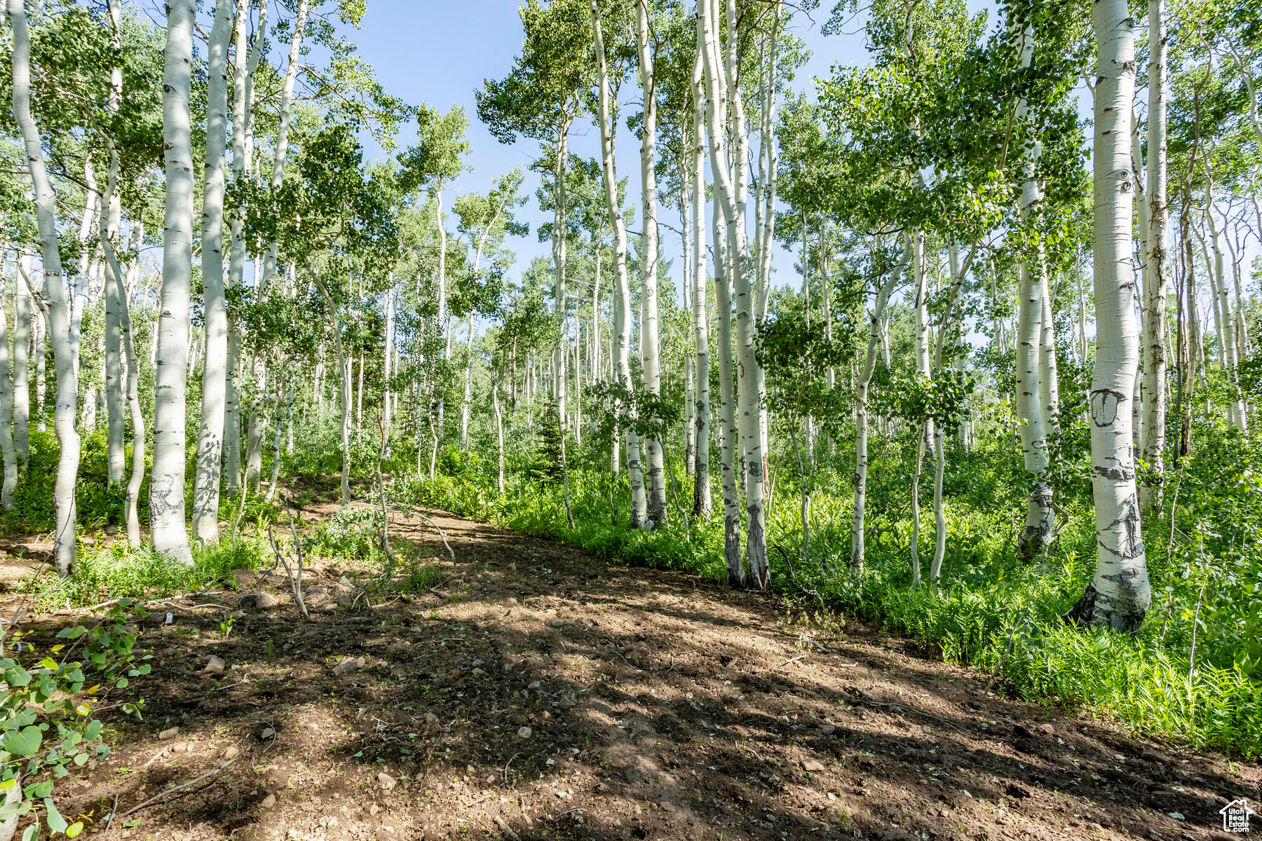 BRIGHTON ESTATES - Land