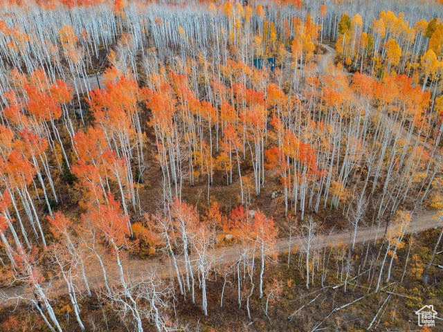 BRIGHTON ESTATES - Land