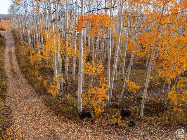 BRIGHTON ESTATES - Land