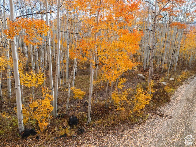 BRIGHTON ESTATES - Land