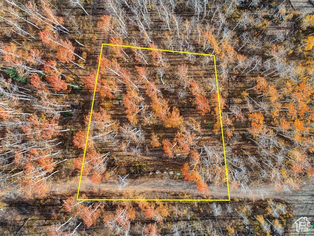 BRIGHTON ESTATES - Land