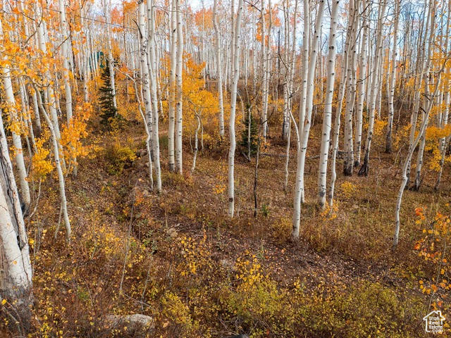 BRIGHTON ESTATES - Land