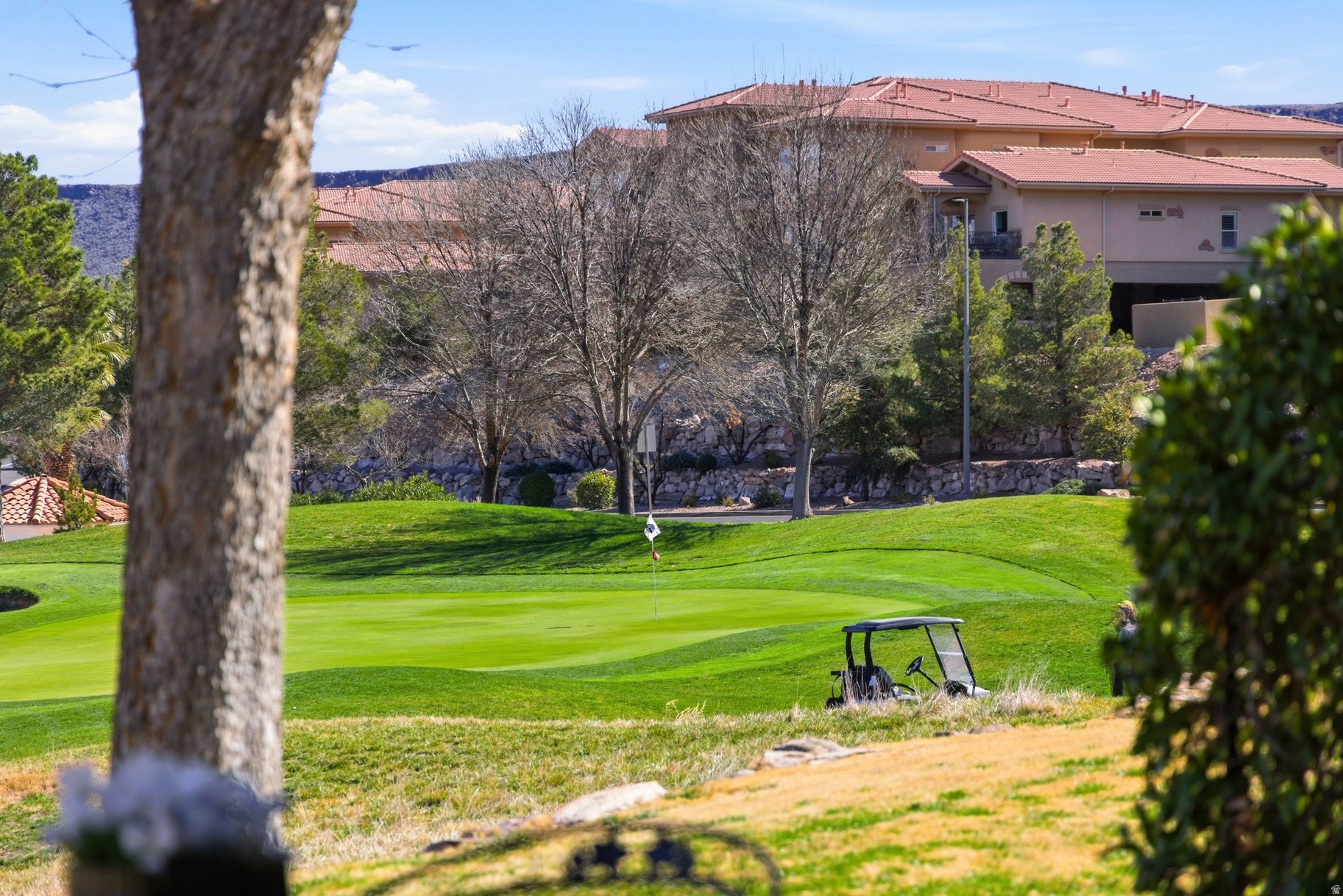 CRESCENT POINTE AT SUNBROOK - Residential