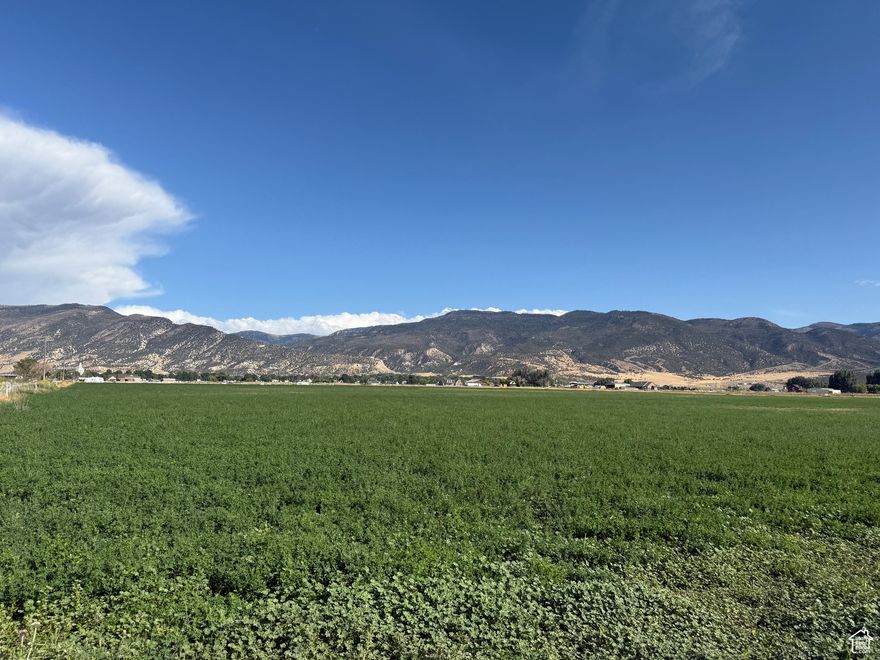 Don't miss the chance to own a stunning piece of farmland in the heart of central Utah! This exceptional 64.46-acre property, located on the picturesque west side of town, offers the perfect setting for raising cattle and cultivating lush hayfields. With ample space and rich soil, you can turn your vision of farm life into reality. This land comes with valuable resources, including 45 shares of Manti irrigation rights and access to 1 well, ensuring your crops and livestock thrive. Additionally, you'll benefit from 31 shares of Manti reservoir water, providing you with a reliable water supply for all your farming needs. Imagine waking up each day to breathtaking rural views, with the potential to grow your agricultural dreams. Please note that there is currently a lease in place that will be honored until May 1, 2026. Sale to EXCLUDE well Pump. All wheel lines on property are included. We encourage all buyers and their agents to verify any and all information before proceeding. Seize this opportunity to create the farm of your dreams!