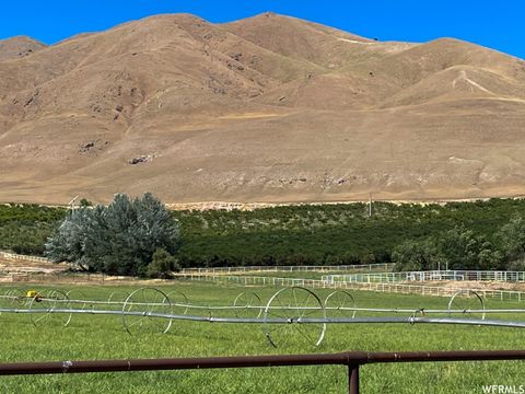 Tiny photo for 2151 N YORK LN #11, Genola, UT 84655 (MLS # 1885541)