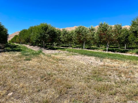 Tiny photo for 2151 N YORK LN #11, Genola, UT 84655 (MLS # 1885541)