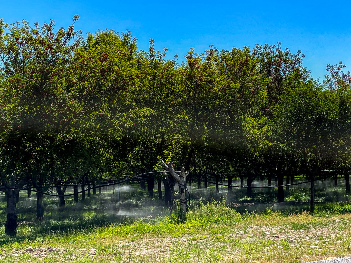 YORK FARM ESTATES - Land