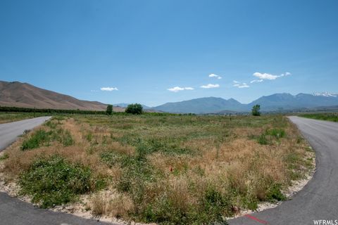Tiny photo for 2151 N YORK LN #11, Genola, UT 84655 (MLS # 1885541)