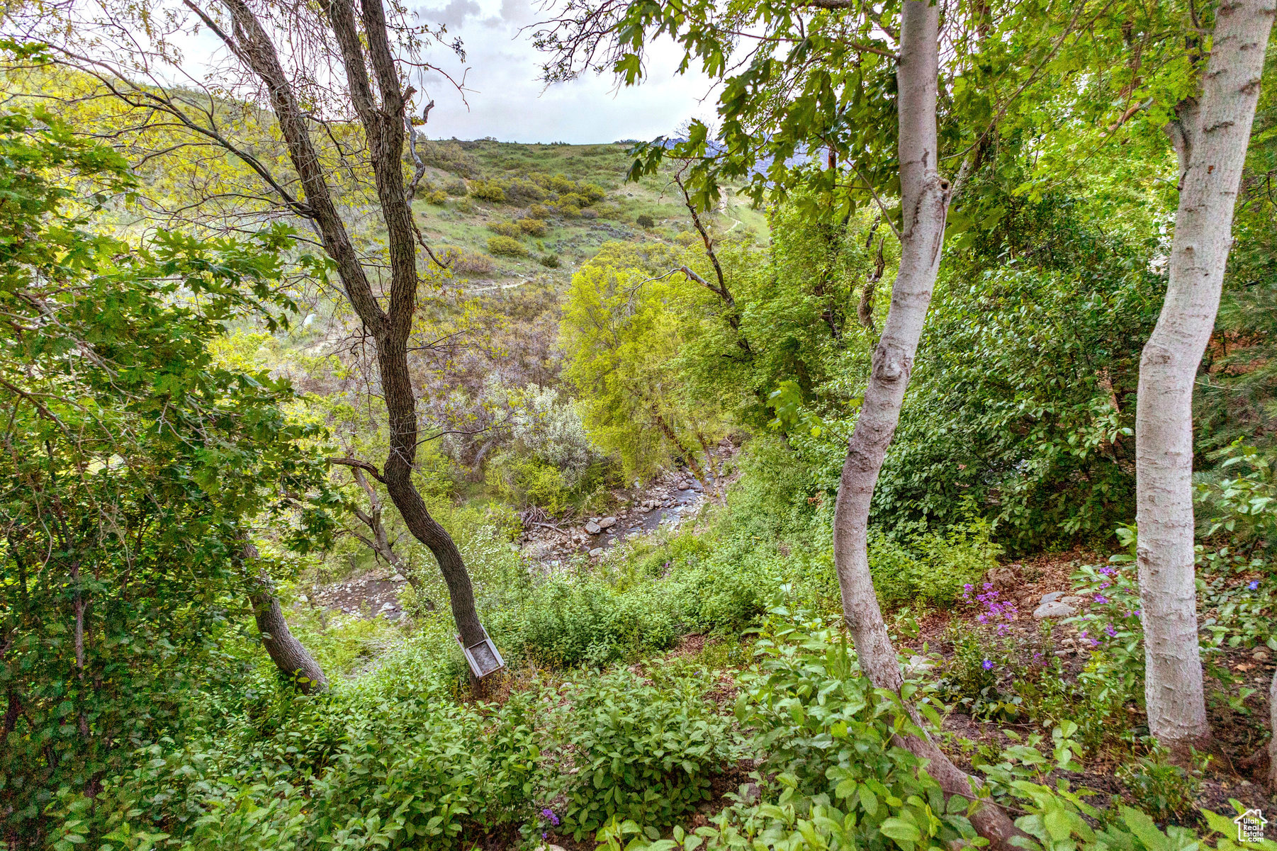 2949 E Dimple Dell Ln, Sandy, Utah image 37