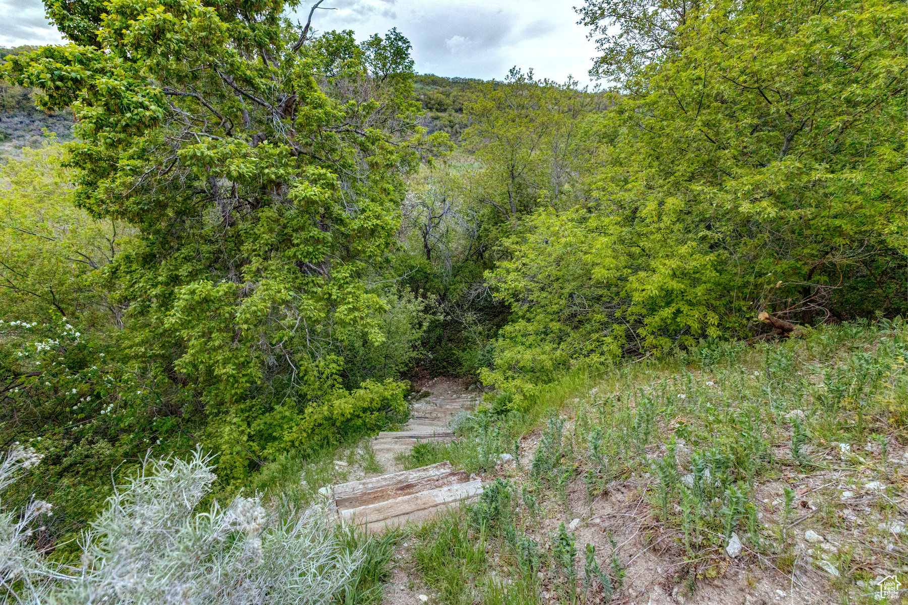 2949 E Dimple Dell Ln, Sandy, Utah image 41