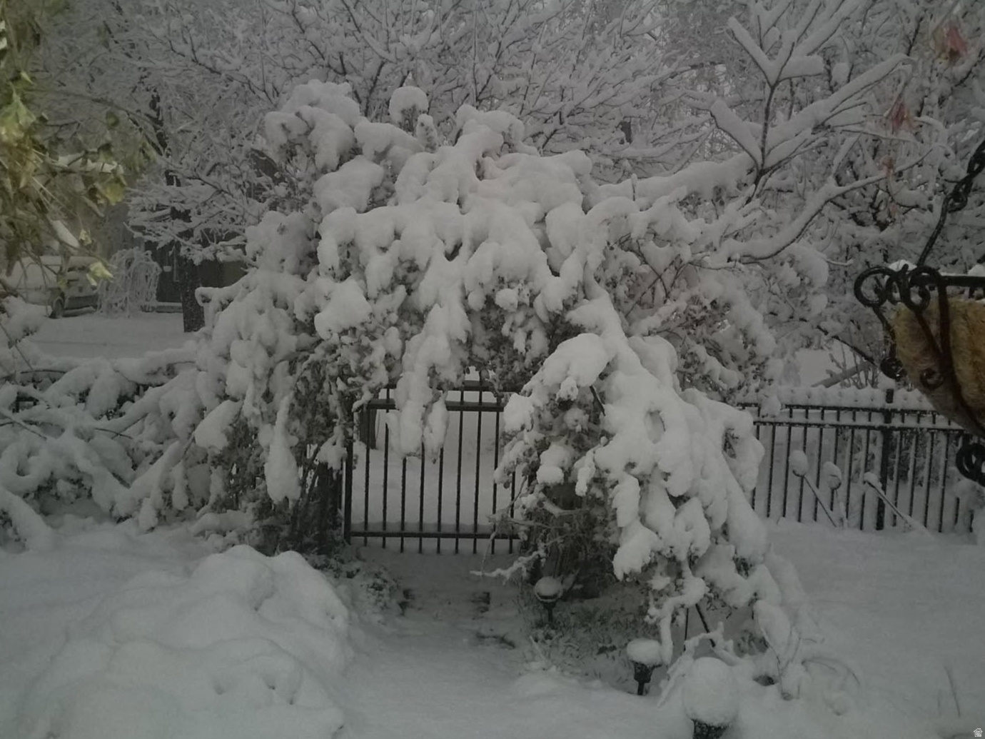 ALTA PLACE - Residential